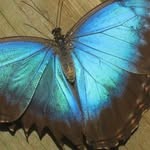 gmrcreatess profile picture