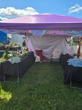 Dragonfly Designs Dragonfly Designs