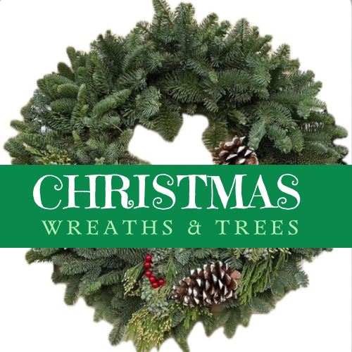 Christmas Wreaths and Trees Christmas Wreaths and Trees