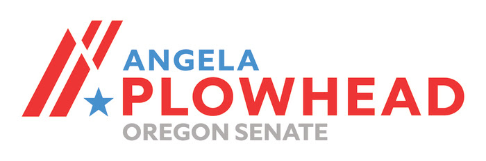 Angela Plowhead for Senate District 10